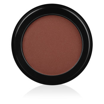 INGLOT FACE BLUSH 41