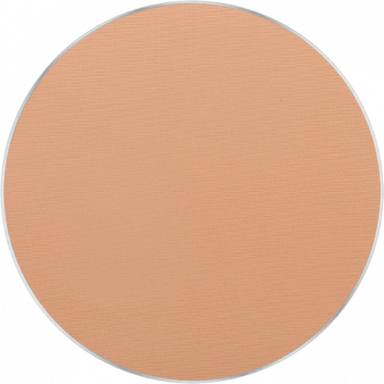INGLOT FREEDOM SYSTEM PERFECT FINISH PRESSED POWDER 13
